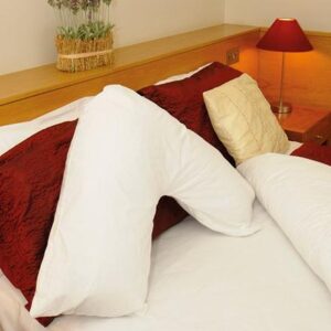 Harley V Shaped Cushion